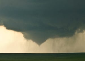 Nueva York Outbreak Summary