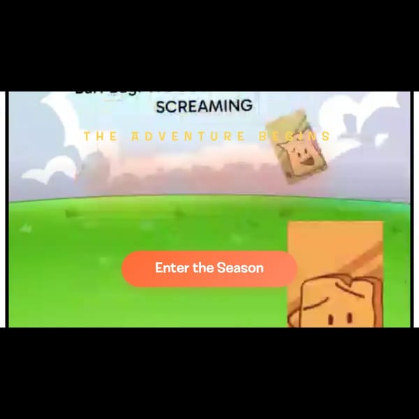 BFDI Simulator