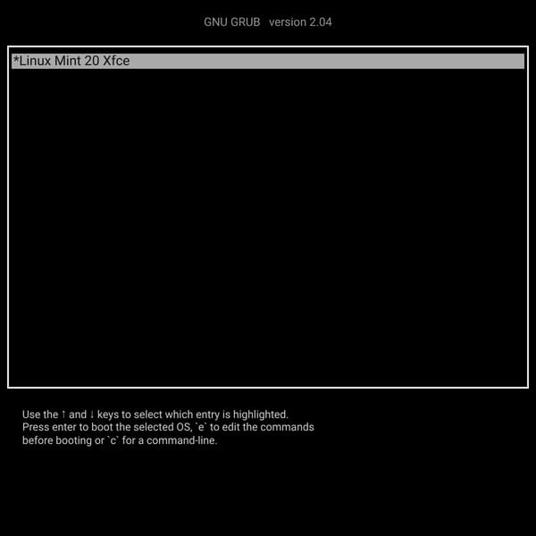 Linux Mint in websim