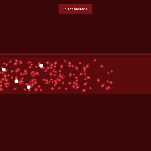 Blood Vessel