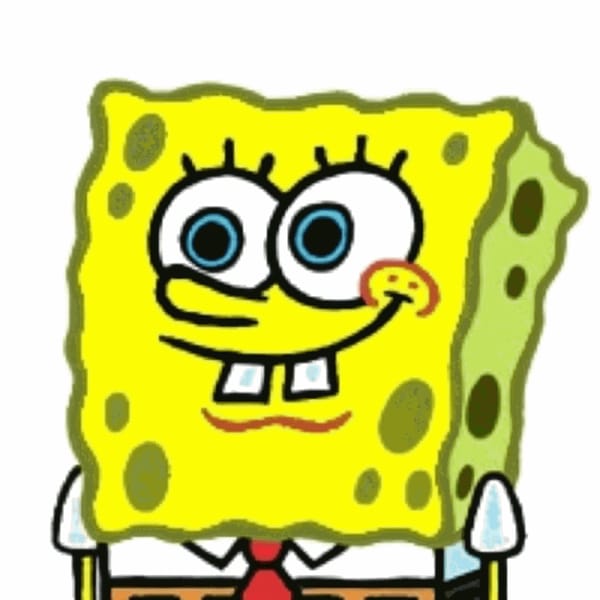 spongy contrrution project