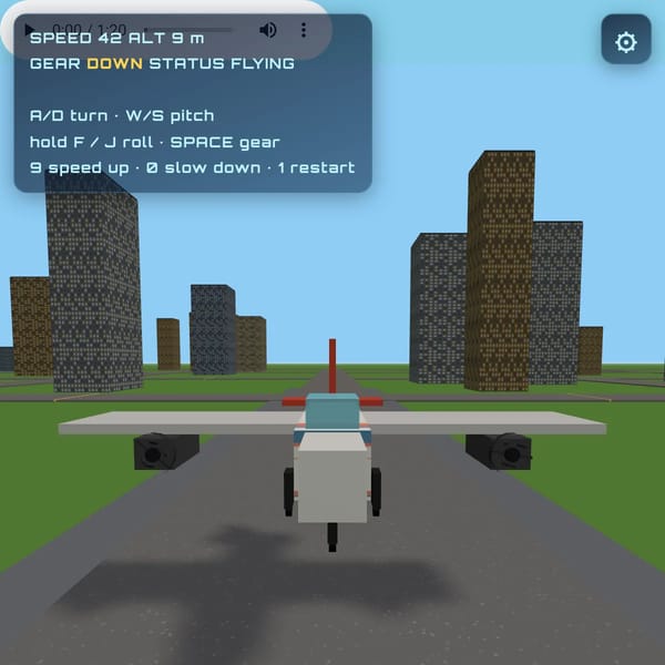 Flight Sim