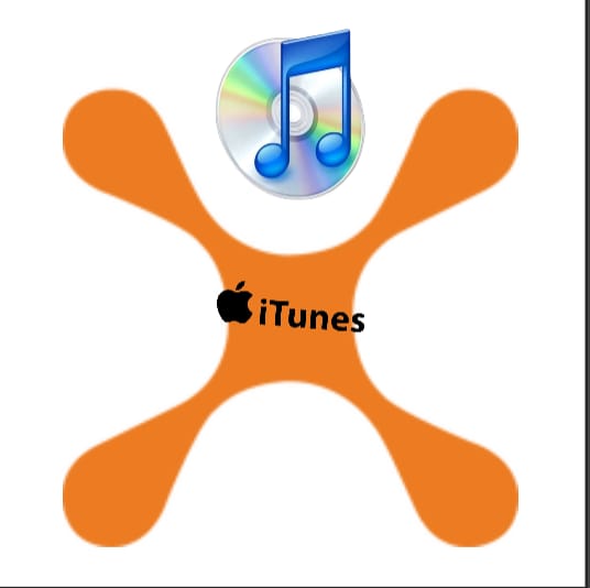 CINGULAR