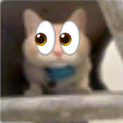 v👀er👀it👀y