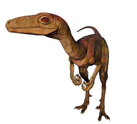 Dino Vision
