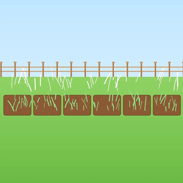 Grass