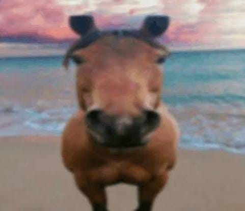 honse plinko