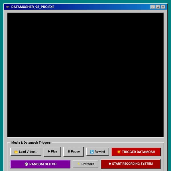 DATAMOSHER 95