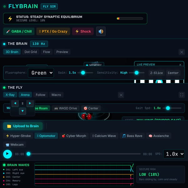 FlyBrain messer