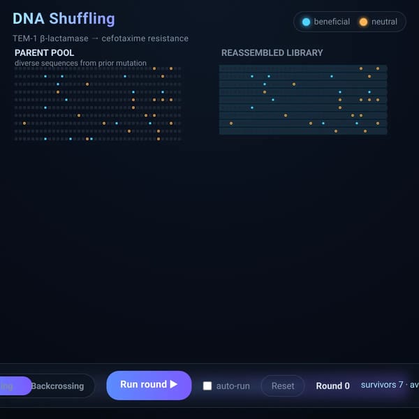 DNA Shuffling