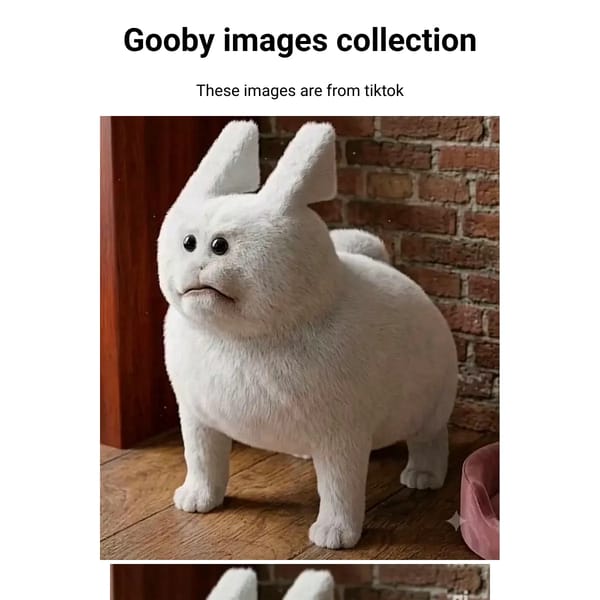Gooby images collection (My first hand-coded project)