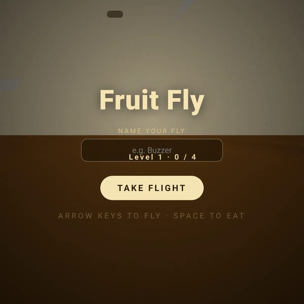 Fruit Fly