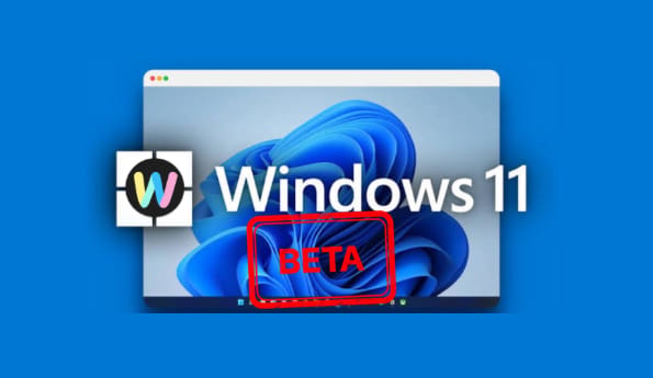 Windows 11