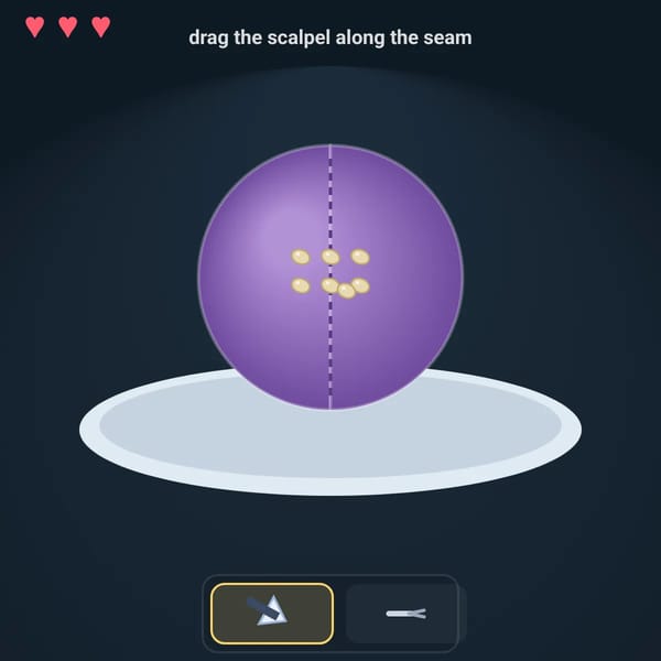 Grape Surgery