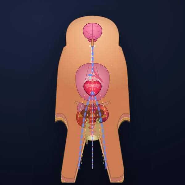 Body Scan