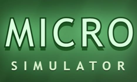 Micro-Simulator