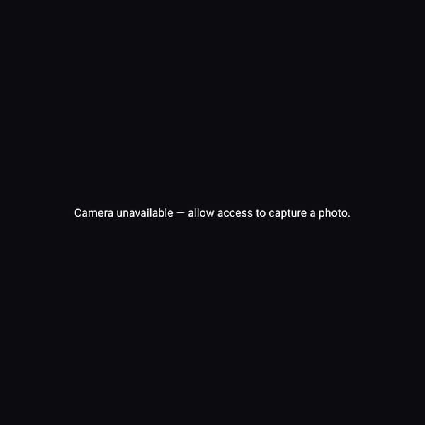 Project screenshot