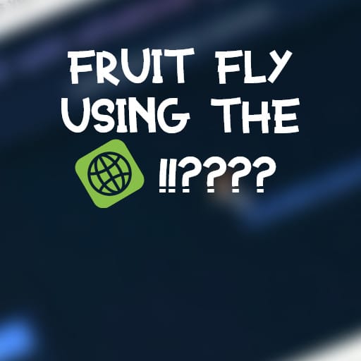 Fruit Fly uses the Web (1.5!)