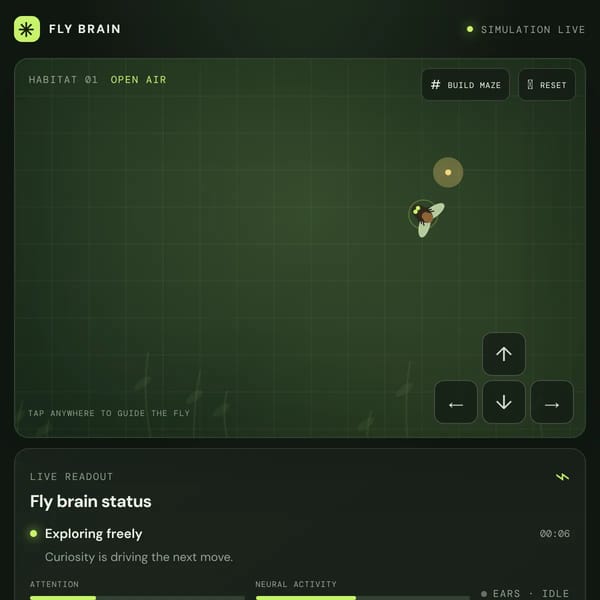Fly Brain