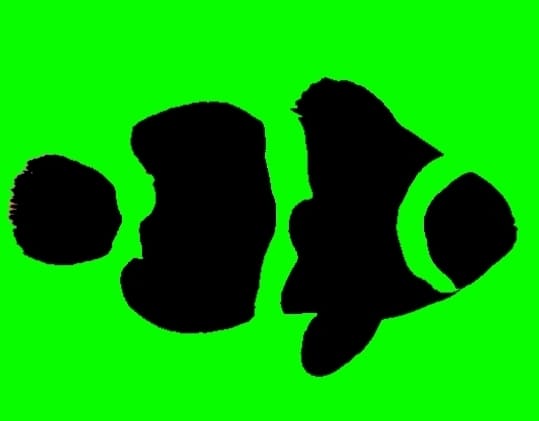 React