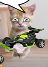 Gilbert Gets Grounded