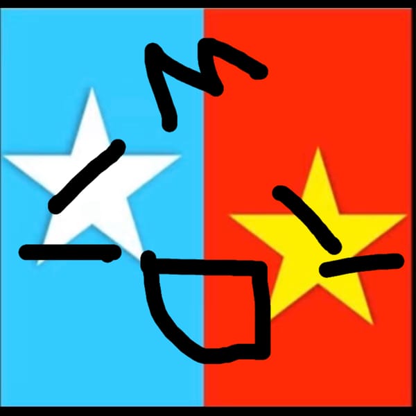 Flag Guess