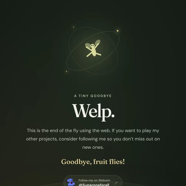 A fly uses the web: Expanded!