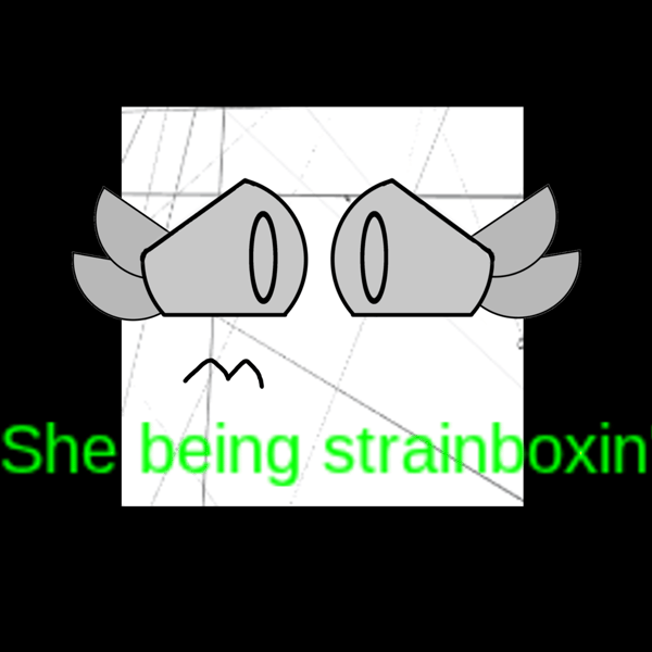 Strainbox