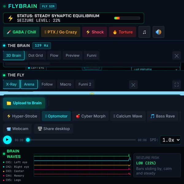 FlyBrain