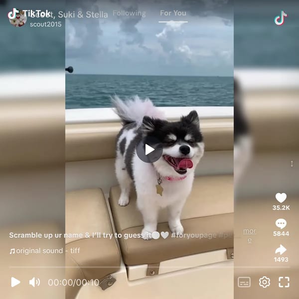 A REEAAAL TIKTOK