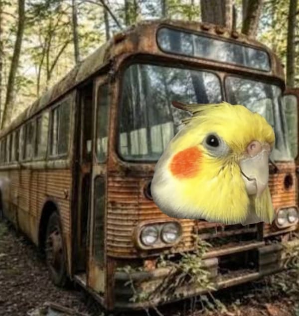 BlueBus 2 RUN (Alpha) V1.3