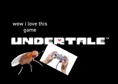 Fruitfly Plays Undertale