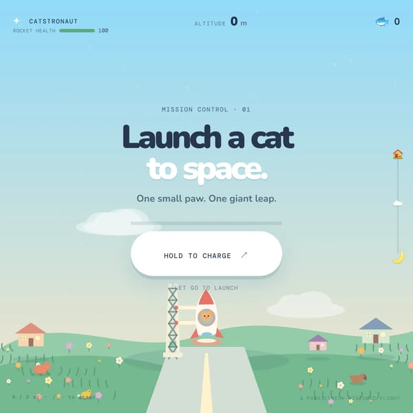 Cat To Space