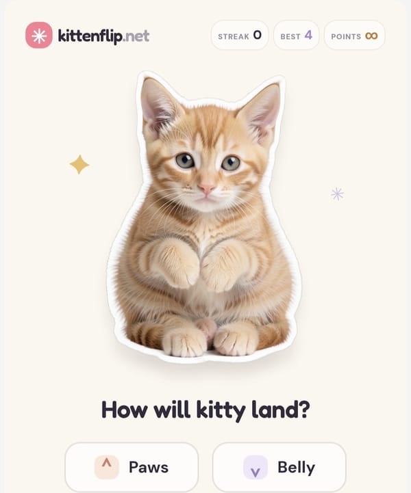 Kitten Flip