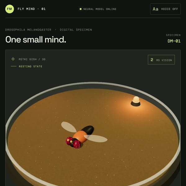 Fly Mind