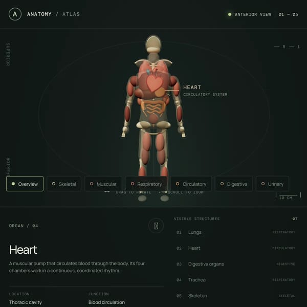 Anatomy