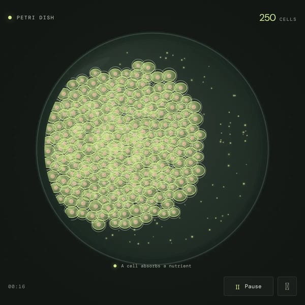 Cell Split