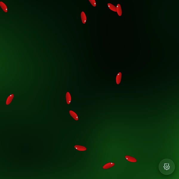 Bad Fish