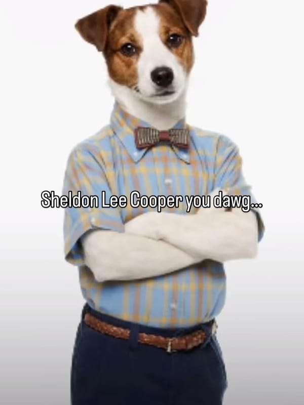 young sheldon vs george coopers briskets