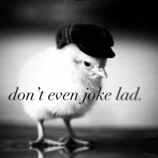 Monochick