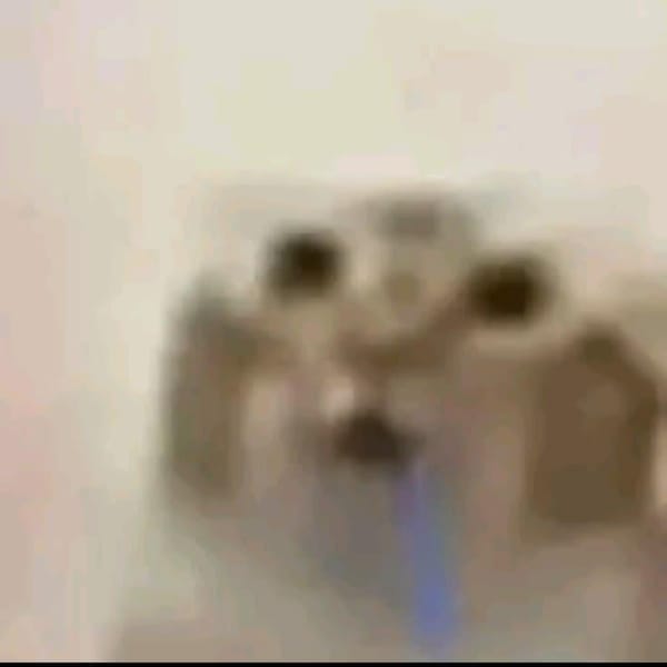 Epsilepsy or whatever Flashvoid (for arg)