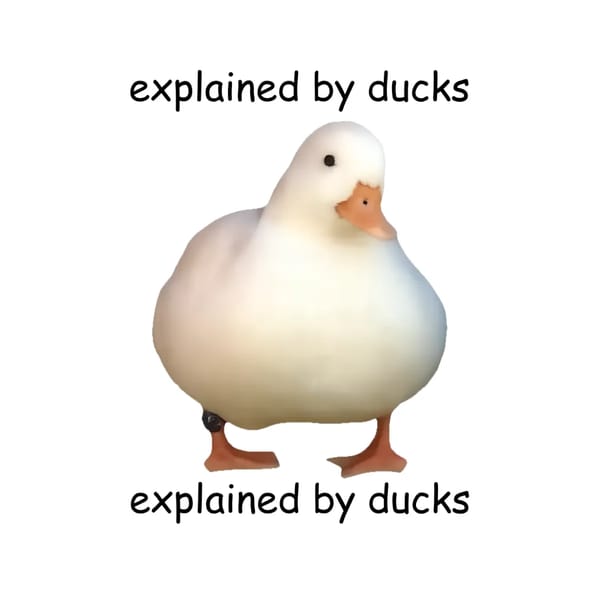 explained by ducks