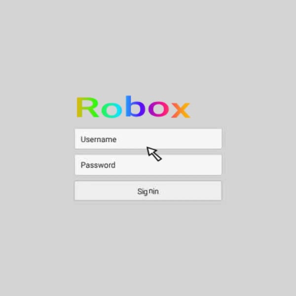 robox.exe