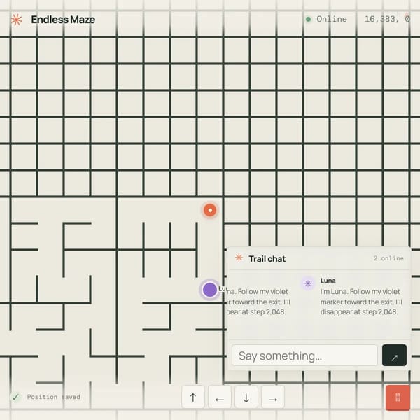 Endless Maze