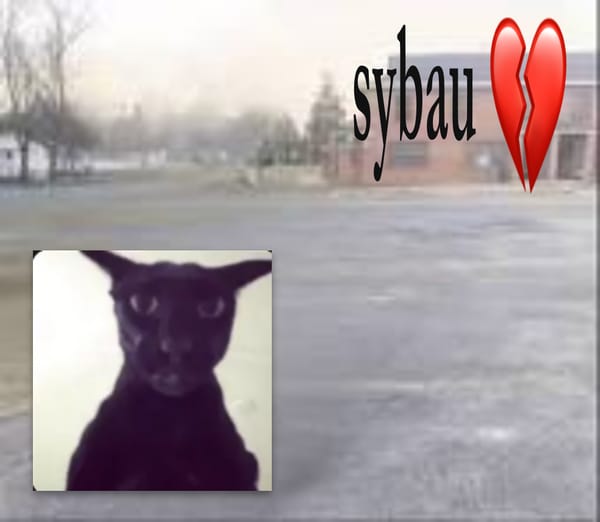 Aura Run