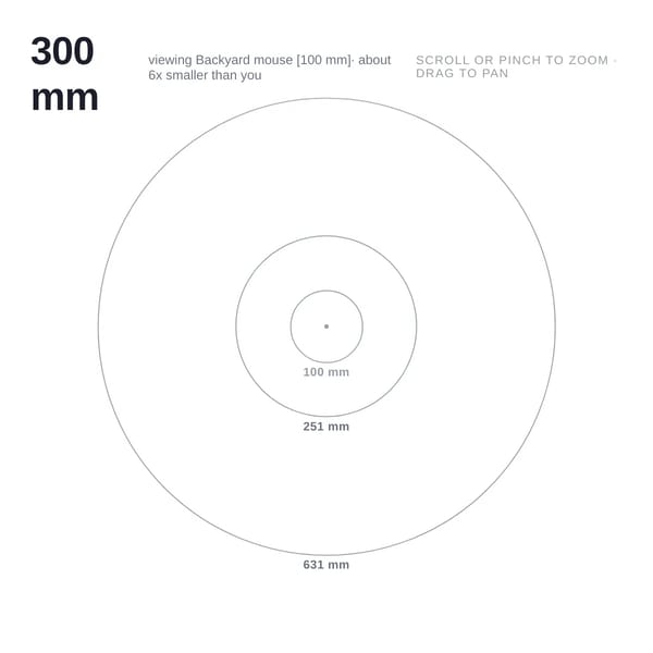 Scale of the Universe