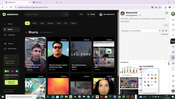 WebsimTok