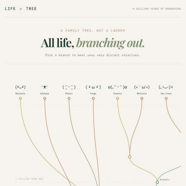 Life Tree