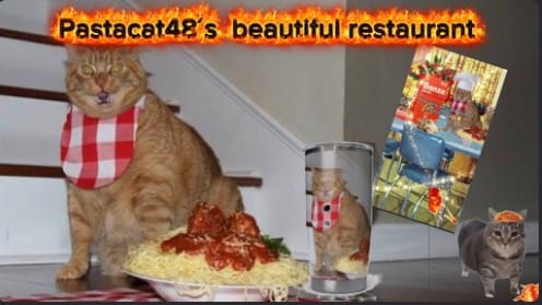 PastaCat48
