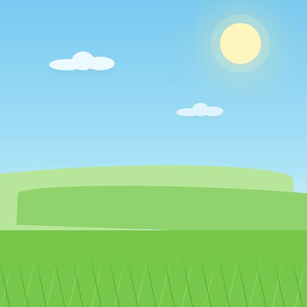 Sunny Meadow